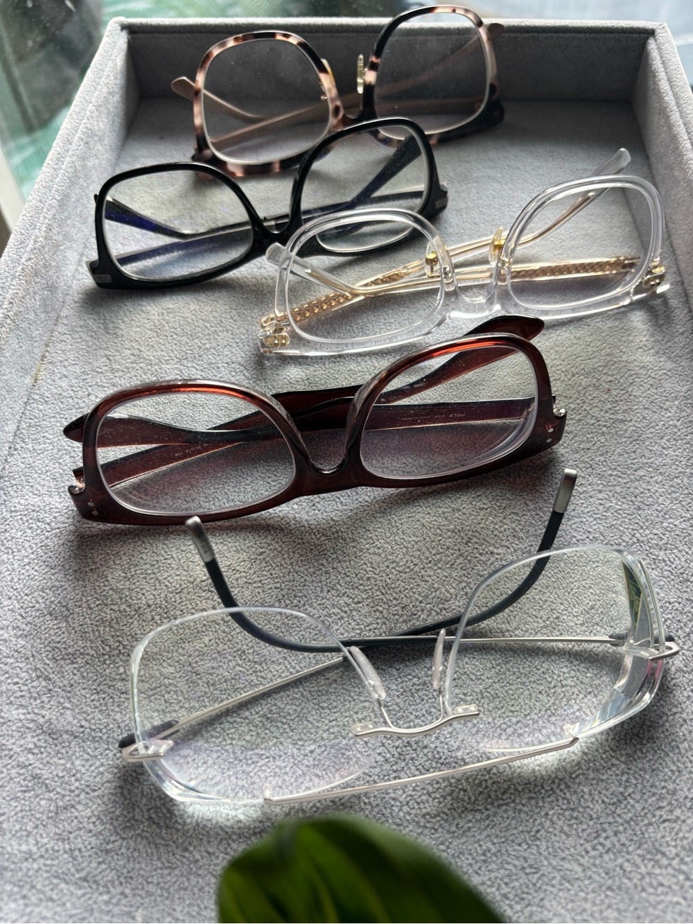 Women's Assorted Clear, Brown, Black and Tortoiseshell Fashion Eyeglass Set